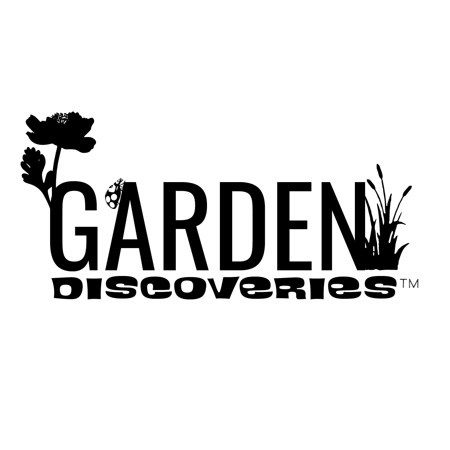Garden Discoveries™ 4PK 2.5" Desert Dazzlers Live Cactus Collection