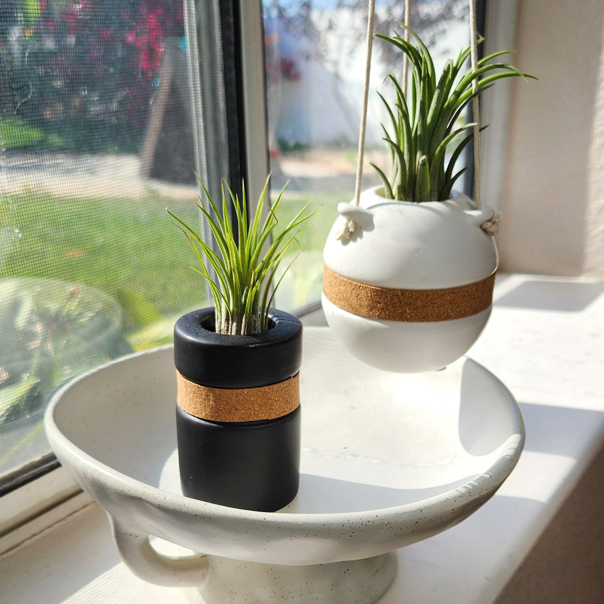 Black Air Plant Holder & White Air Plant Hanger Included
