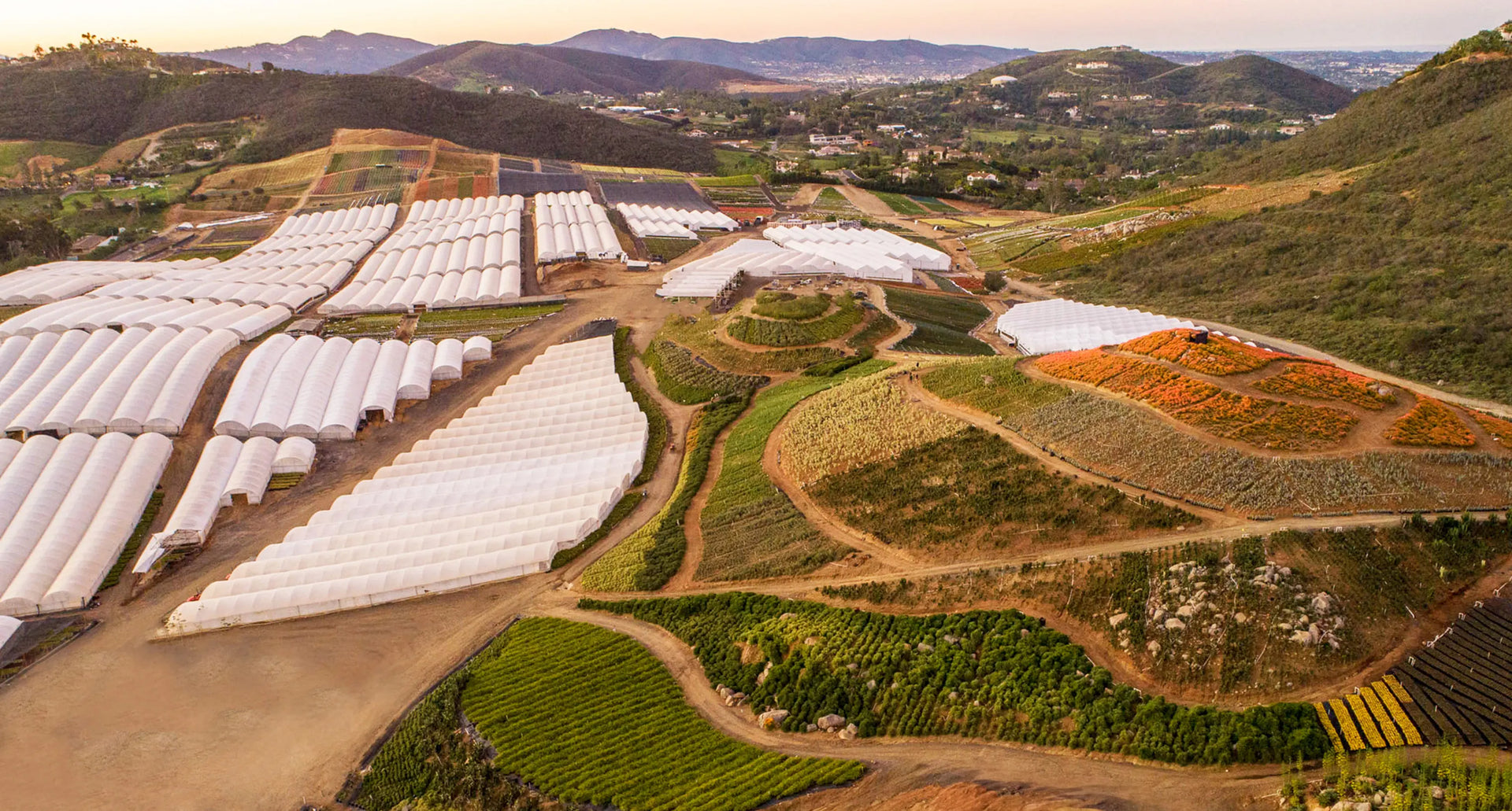 Hero Banner displaying aerial view of Altman Plants large farm landscape 