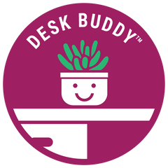 Desk Buddy™ 6-pack: Colorful, Cute & Carefree Plants - No Duplicate Succulents - (2" Pots) - Easy & Unique Varieties