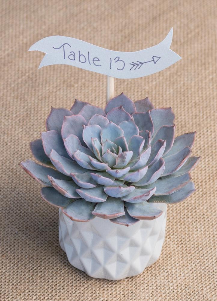 Wedding Rosette Tray