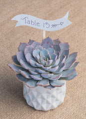 Wedding Rosette Tray