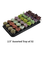 Wedding Rosette Tray